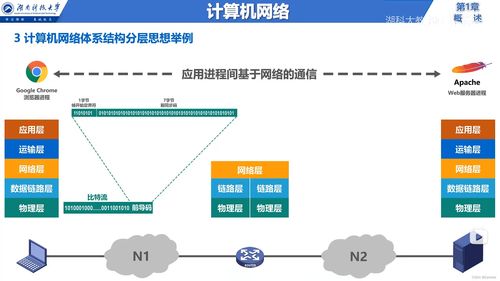 從邊緣到核心 計(jì)算機(jī)網(wǎng)絡(luò)基礎(chǔ)與信息服務(wù)全解析