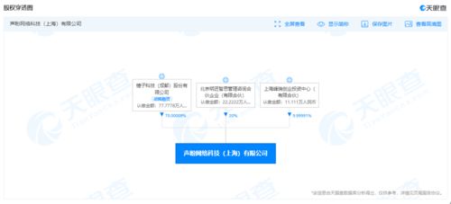 錘子科技再陷服務(wù)合同糾紛，百元執(zhí)行背后的企業(yè)困境與警示